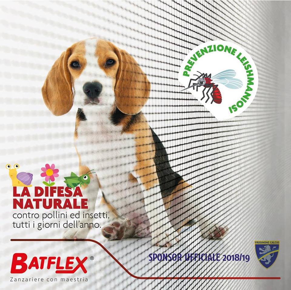 Proteggi il tuo cane con Batflex
